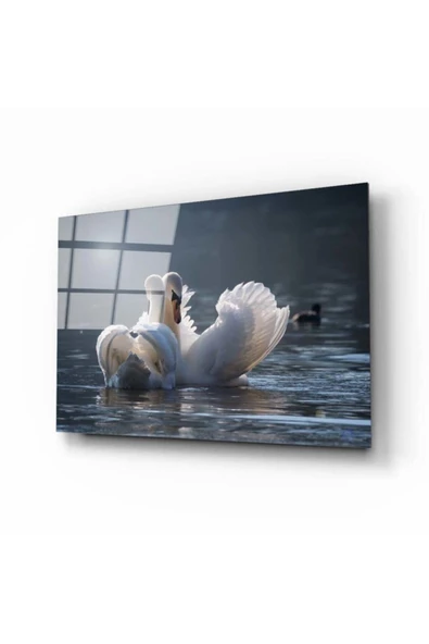 AlpiLeo Ördek Alp Özel Cam Tablo ürün görseli 1