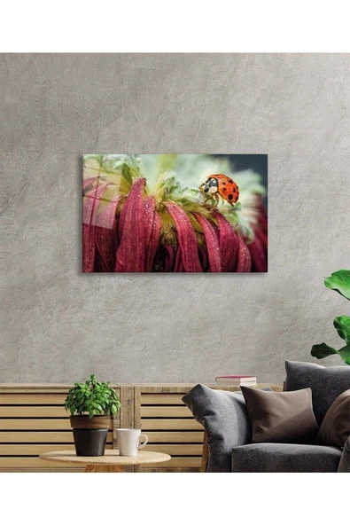 AlpiLeo Uğur Böceği Ve Yaprak Alp Özel Cam Tablo, Ev Ve Ofis Duvar Dekoru, Hediyelik Tablo - Resim 2