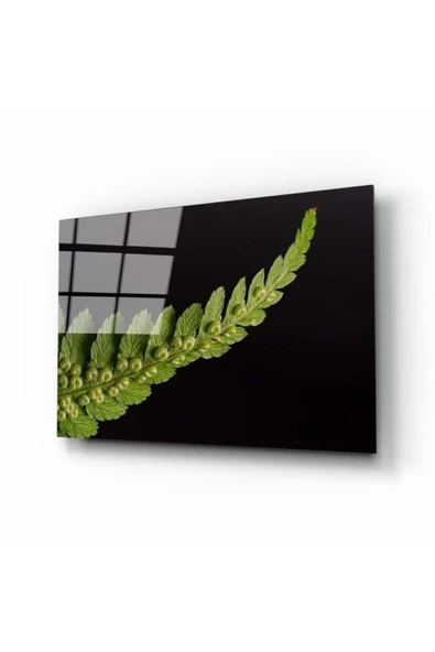 AlpiLeo Yaprak Alp Özel Cam Tablo ürün görseli 1