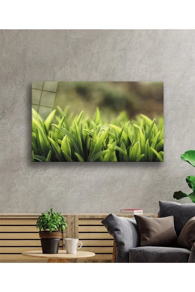 AlpiLeo Yeşil Yapraklar Alp Özel Cam Tablo, Ev Ve Ofis Duvar Dekoru - Resim 2