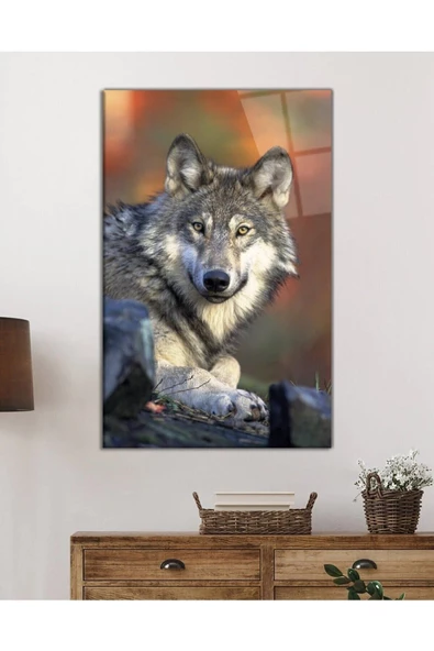 AlpiLeo Kurt Hayvan Portresi Alp Özel Cam Tablo, Ev Ve Ofis Duvar Dekoru - Resim 2