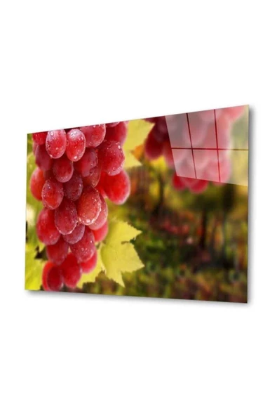 AlpiLeo Meyveler Alp Özel Cam Tablo 4mm Dayanıklı Temperli Cam ürün görseli 1