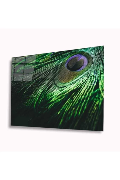 AlpiLeo Tavuskuşu Tüyü Alp Özel Cam Tablo 4mm Dayanıklı Temperli Cam ürün görseli 1