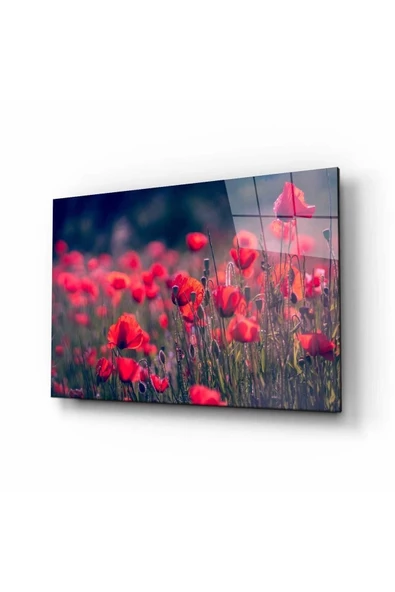 AlpiLeo Çiçek Doğa Manzara Alp Özel Cam Tablo 4mm Dayanıklı Temperli Cam ürün görseli 1