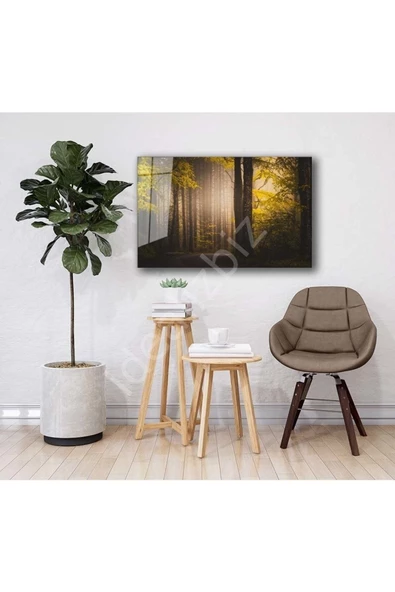 AlpiLeo Doğa Manzara Alp Özel Cam Tablo 4mm Dayanıklı Temperli Cam - Resim 2