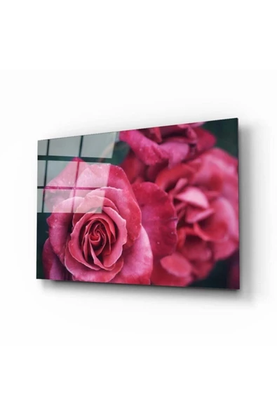 AlpiLeo Rose 1 Alp Özel Cam Tablo ürün görseli 1