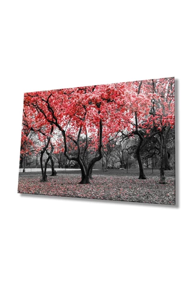 AlpiLeo Kırmızı Ağaçlar Doğa Alp Özel Cam Tablo, Ev Ve Ofis Duvar Dekoru ürün görseli 1