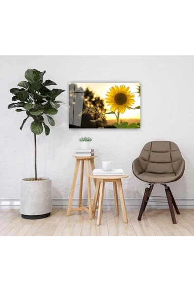 AlpiLeo Ayçiçeği Alp Özel Cam Tablo 4mm Dayanıklı Temperli Cam - Resim 2