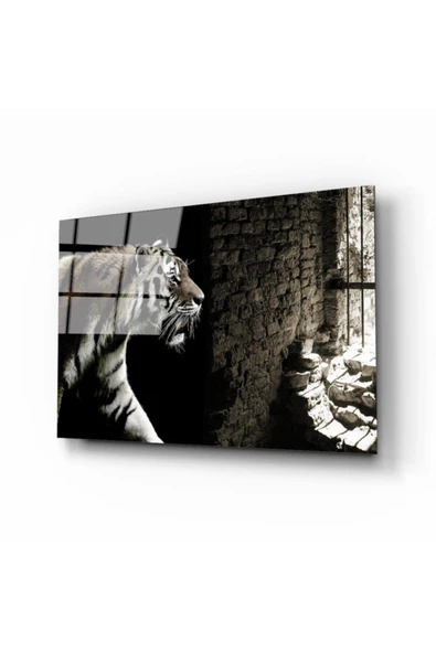 AlpiLeo Kaplan Kafeste Alp Özel Cam Tablo ürün görseli 1