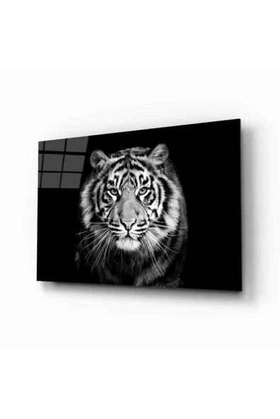 AlpiLeo Kaplan 3 Hayvan Alp Özel Cam Tablo ürün görseli 1