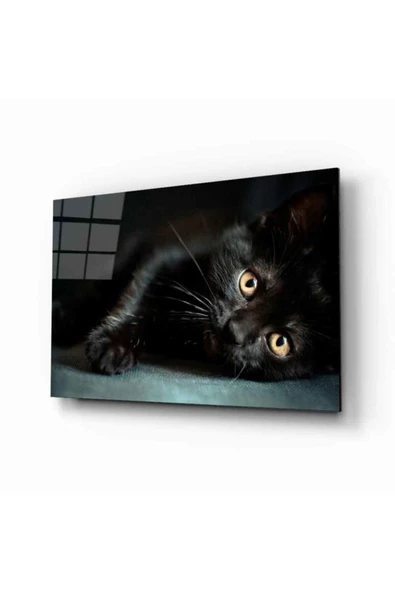 AlpiLeo Kedi 10 Hayvan Alp Özel Cam Tablo ürün görseli 1