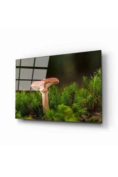 AlpiLeo Mantar Alp Özel Cam Tablo ürün görseli 1