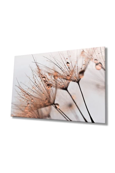 AlpiLeo Kahverengi Karahindiba Alp Özel Cam Tablo ürün görseli 1