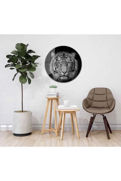 AlpiLeo Kaplan Yuvarlak Alp Özel Cam Tablo 4mm Dayanıklı Temperli Cam - Resim 2