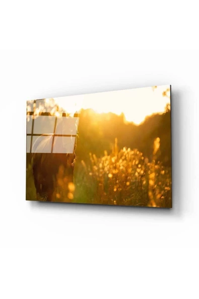 AlpiLeo At 3 Alp Özel Cam Tablo ürün görseli 1