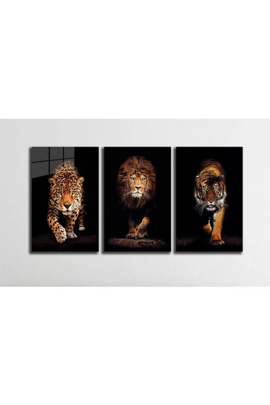 AlpiLeo Aslan,kaplan,jaguar 3 Lü Set Alp Özel Cam Tablo - Resim 3