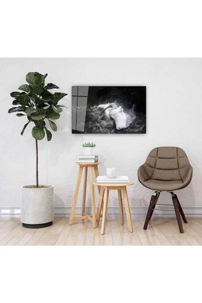 AlpiLeo Pelikan Alp Özel Cam Tablo 4mm Dayanıklı Temperli Cam - Resim 2