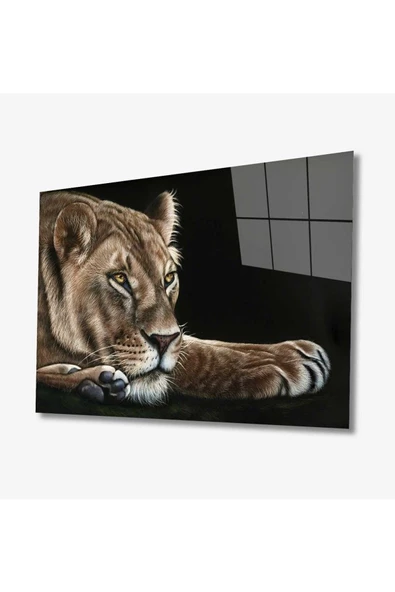 AlpiLeo Aslan Hayvan Alp Özel Cam Tablo 4mm Dayanıklı Temperli Cam ürün görseli 1