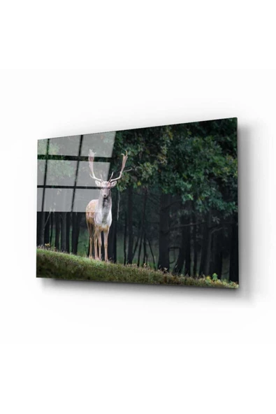 AlpiLeo Geyik Alp Özel Cam Tablo ürün görseli 1