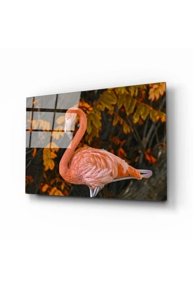 AlpiLeo Flamingo 2 Alp Özel Cam Tablo