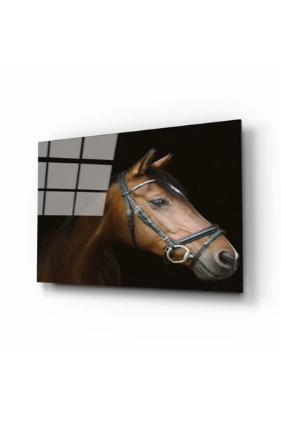 AlpiLeo At 2 Alp Özel Cam Tablo ürün görseli 1