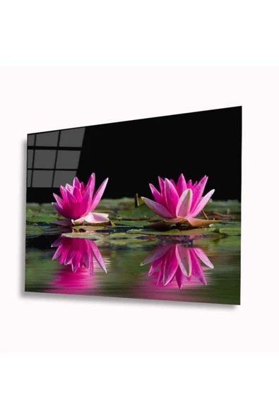 AlpiLeo Lotus Çiçeği Alp Özel Cam Tablo 4mm Dayanıklı Temperli Cam ürün görseli 1