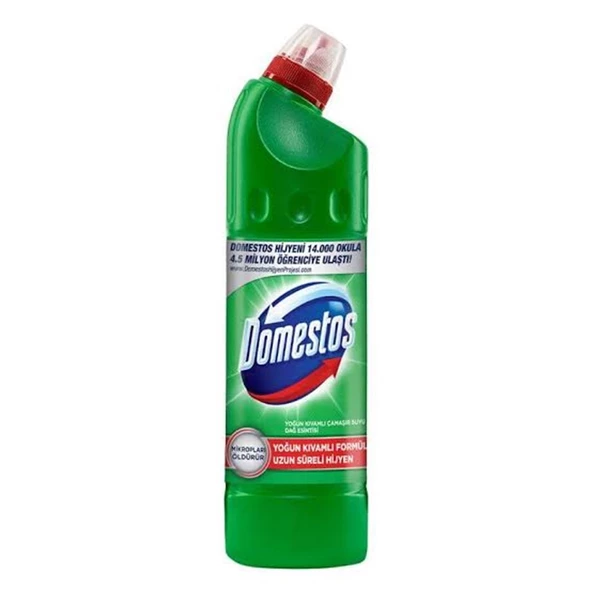 DOMESTOS DAĞ ESİNTİSİ 750 ML