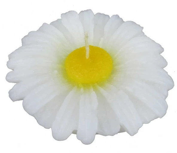 MUM PAPATYA ASETAT KUTULU BEYAZ 1 ADET - Resim 2