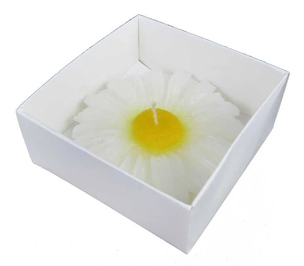 MUM PAPATYA ASETAT KUTULU BEYAZ 1 ADET ürün görseli