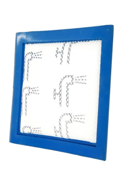 Electrolux UltraCaptic ZUCDELUXE Uyumlu Motor Koruma Filtresi - Resim 2