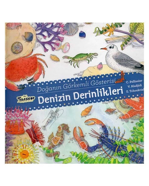 Doğanın Görkemli Gösterisi Denizin Derinlikleri Teleskop Popüler Bilim