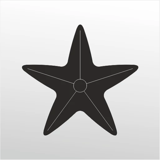 Folyo Sticker Deniz Yıldızı ürün görseli 1