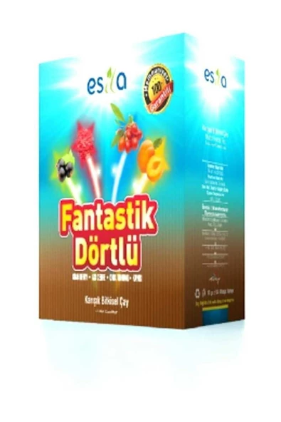 ESİLA Fantastik Dörtlü (yaz Çayı) Karışık Bitkisel Çayı 45 Li 90 Gr