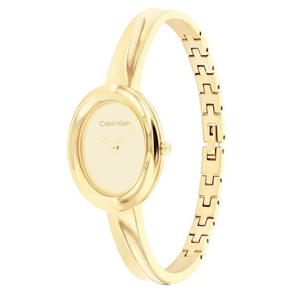 Calvin Klein CK25100056 Kadın Kol Saati ürün görseli
