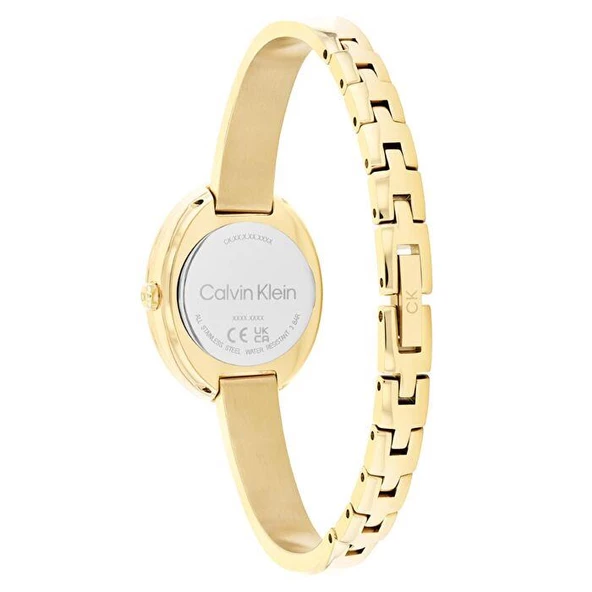 Calvin Klein CK25100056 Kadın Kol Saati - Resim 3