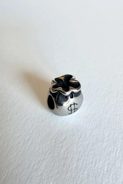 ÇELİK CHARM DOLAR KESESİ - 3
