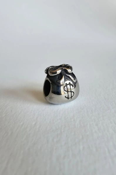 ÇELİK CHARM DOLAR KESESİ