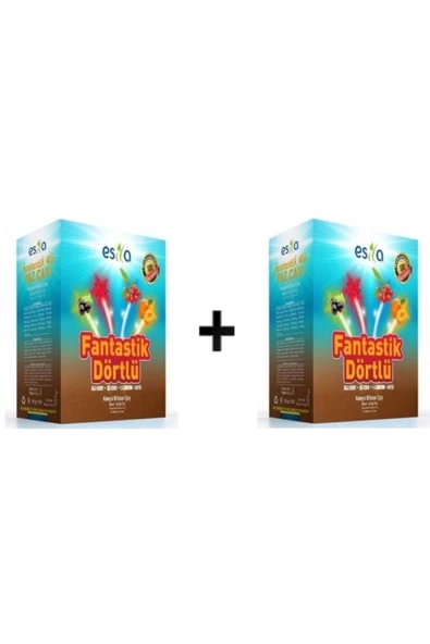 Esila Fantastik Dörtlü Yaz Karışık Süzen Poşet Çay 45'li 2 kutu