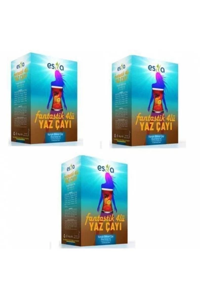 3 Kutu (135 POŞET) Fantastik Dörtlü Form Çayı - 3