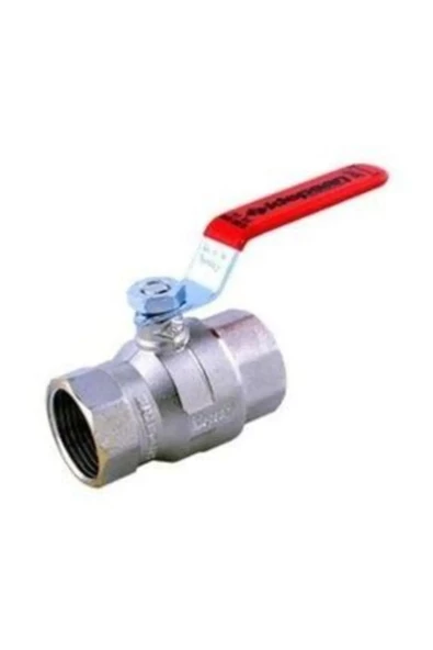 KÜRESEL VANA  1/2 - Resim 2