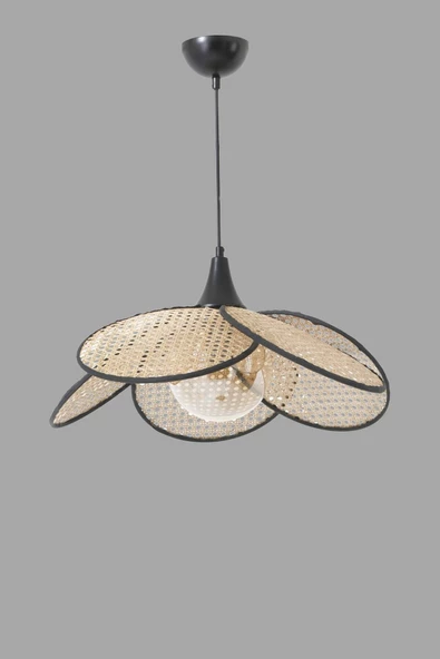 Lumexx Pervane Tekli Camlı Rattan Sarkıt - 3