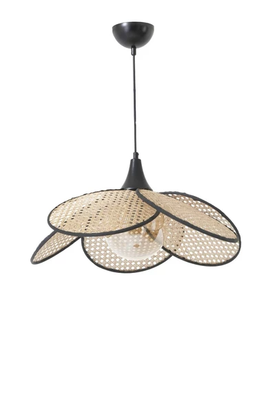 Lumexx Pervane Tekli Camlı Rattan Sarkıt - 2