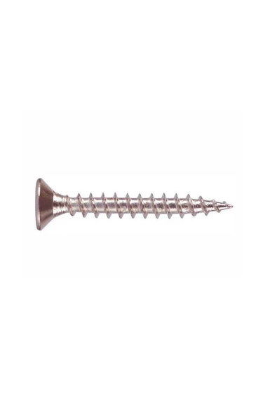 Sunta vidası Galvanizli 4x30 Mm 500 Adet - 2