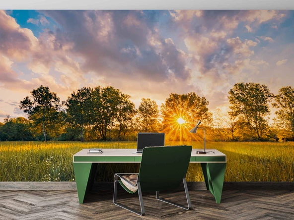 Gündoğumu Doğa Manzaralı Duvar Kağıdı Baskı - Resim 4