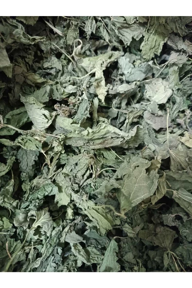 KURMEYSAN Isırgan Otu,Dızlağan, Ağdalak, Dalagan, Isırgı, Dead Nettle, Urtica Dioica Net 30 gr Kurutulmuş - 4