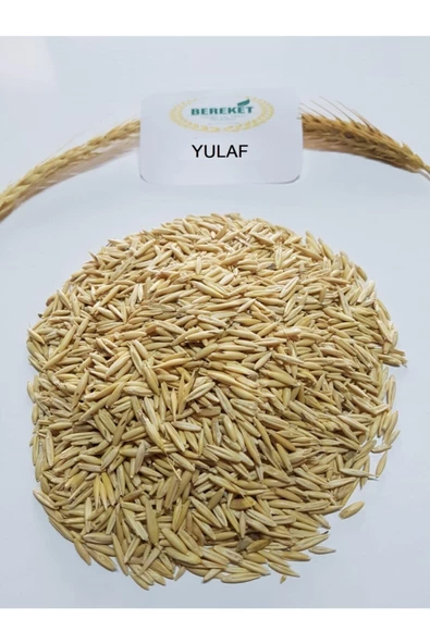 Bereketlimama Yulaf Tohumu- 1 Kg