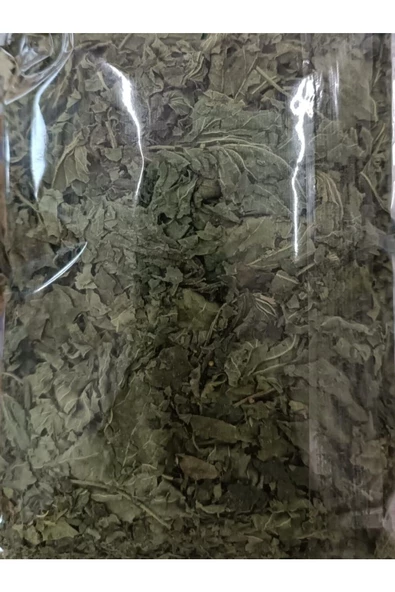 KURMEYSAN Isırgan Otu,Dızlağan, Ağdalak, Dalagan, Isırgı, Dead Nettle, Urtica Dioica Net 30 gr Kurutulmuş - 3