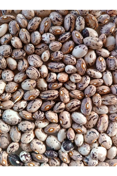 KURMEYSAN ATA Tohumu Yerli Çilli Barbunya Geneleksel Ürün Doğal Yetişritilmiş 1 kg - 2