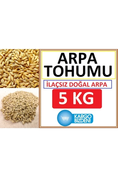 KURMEYSAN Arpa Tohumu 5 Kg Doğal Arpa Tohumu Arpa Tohumları