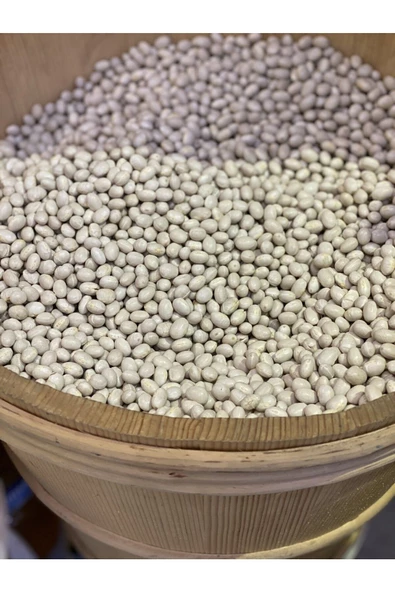 Hoşdere Çayeli Fasülyesi Ispir Fasülye 500gr - 5